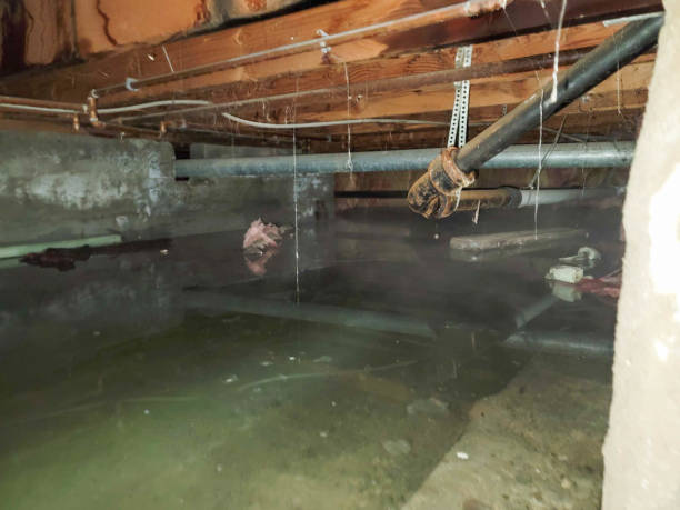 Best Fire Damage Restoration  in Lynchburg, MS