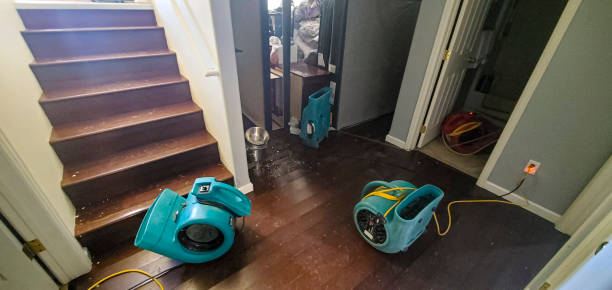 Best Water damage contractors near me  in Lynchburg, MS