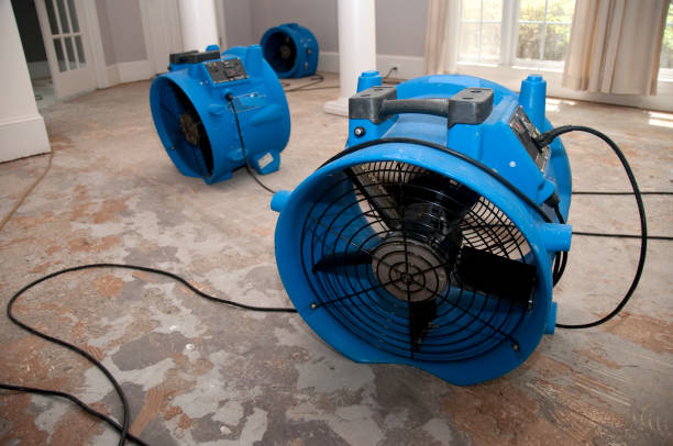  Lynchburg, MS Water damage restoration Pros