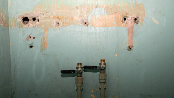 Water damage restoration experts in MS