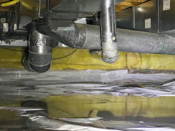 Best Professional water damage repair  in Lynchburg, MS